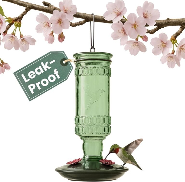 Hummingbird Feeder: 10 Ultimate Steps For Amazing Results In 2026 10 71GpsY2zebL. AC SL1500 ReviewGuid