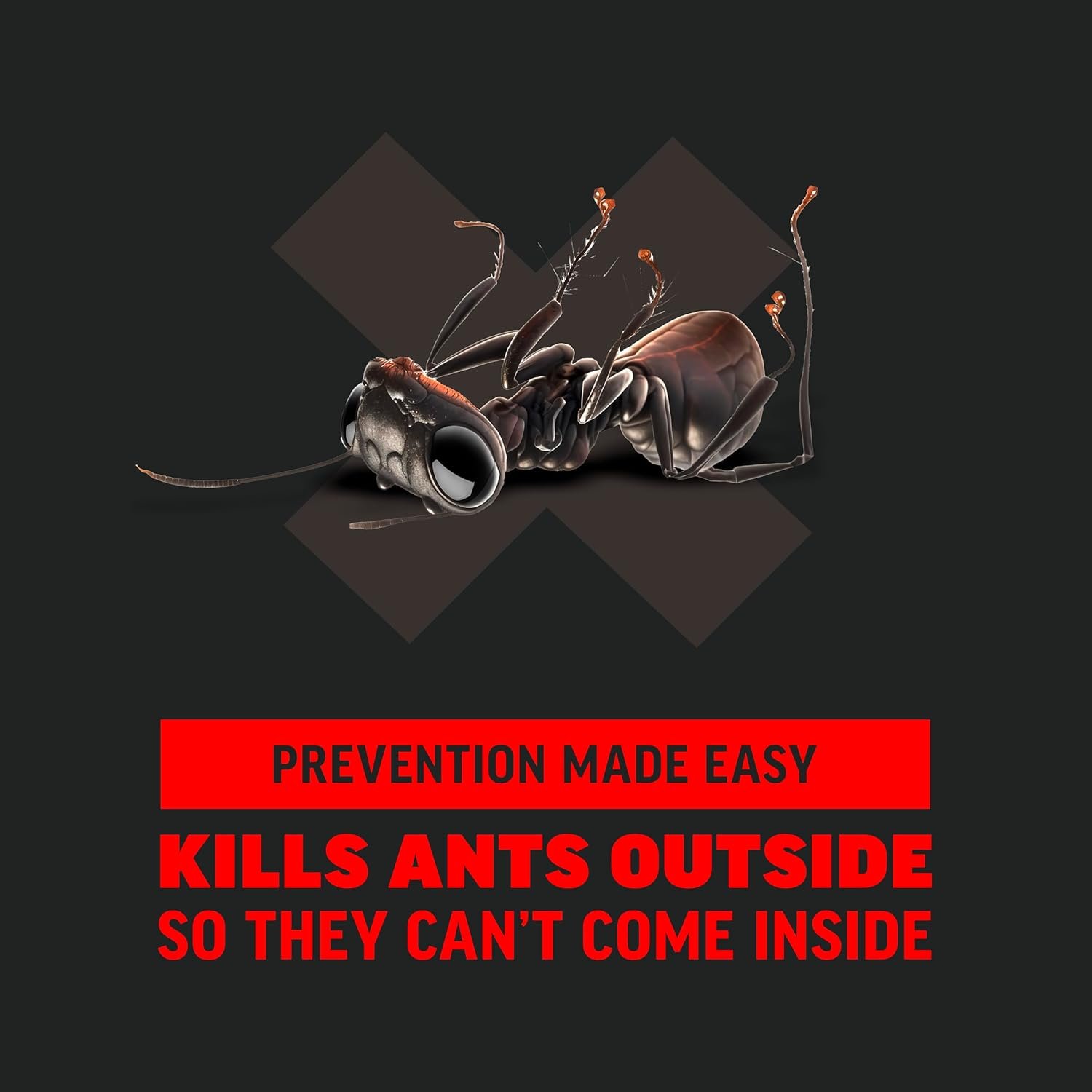 Amdro Ant Killer Perimeter 24oz outdoor perimeter protection 5