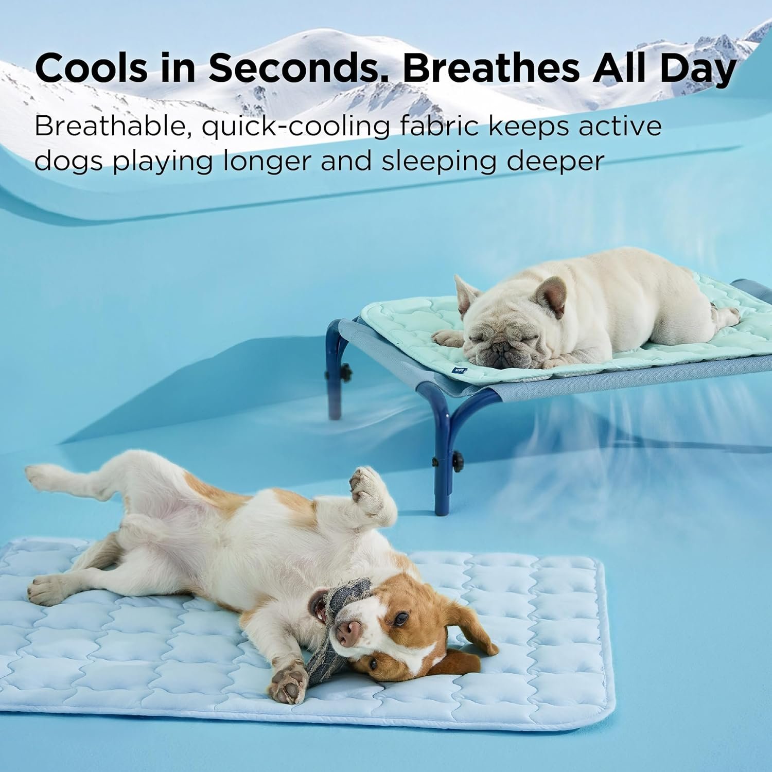 Bedsure Cooling Dog Mat Extra Large - gallery image 3