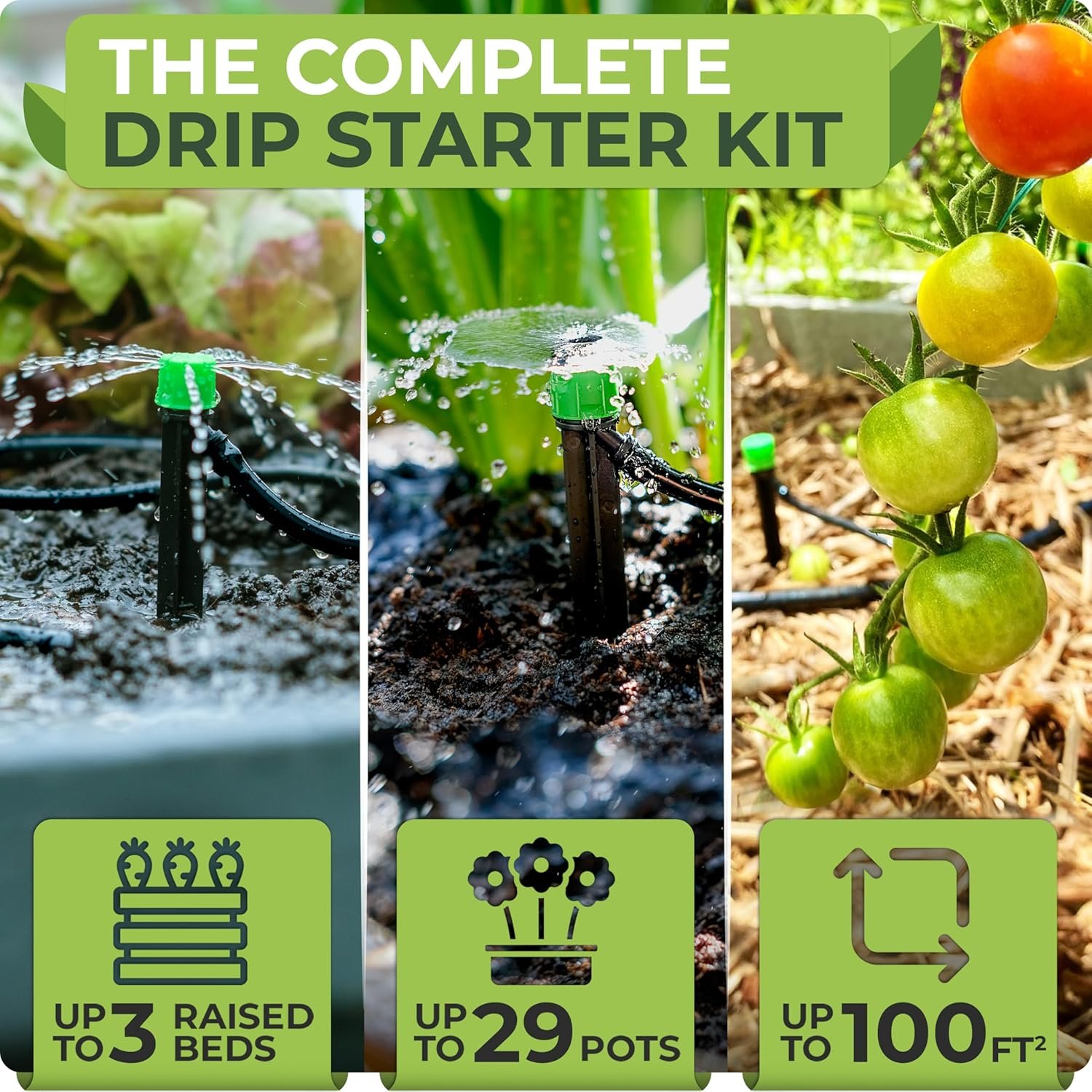 Carpathen drip irrigation tubing and adjustable drippers installed along a raised bed row
