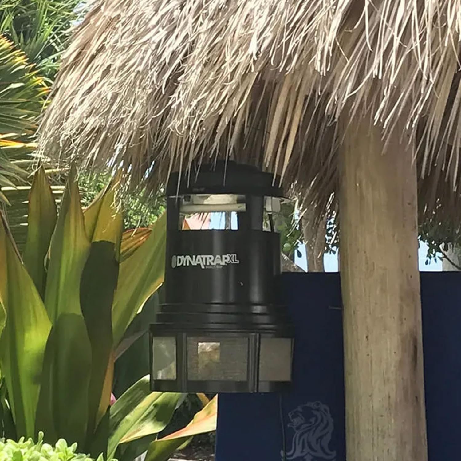 DynaTrap DT2000XLPSR size comparison with adult standing nearby