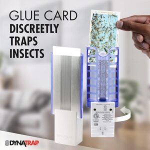 DynaTrap DT3009W Flylight indoor plug-in insect trap - main product view