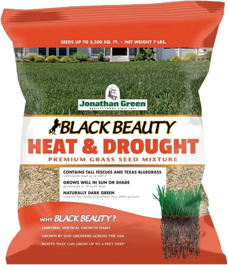 Jonathan Green Black Beauty Heat and Drought tall fescue grass seed - front of bag (main product photo)