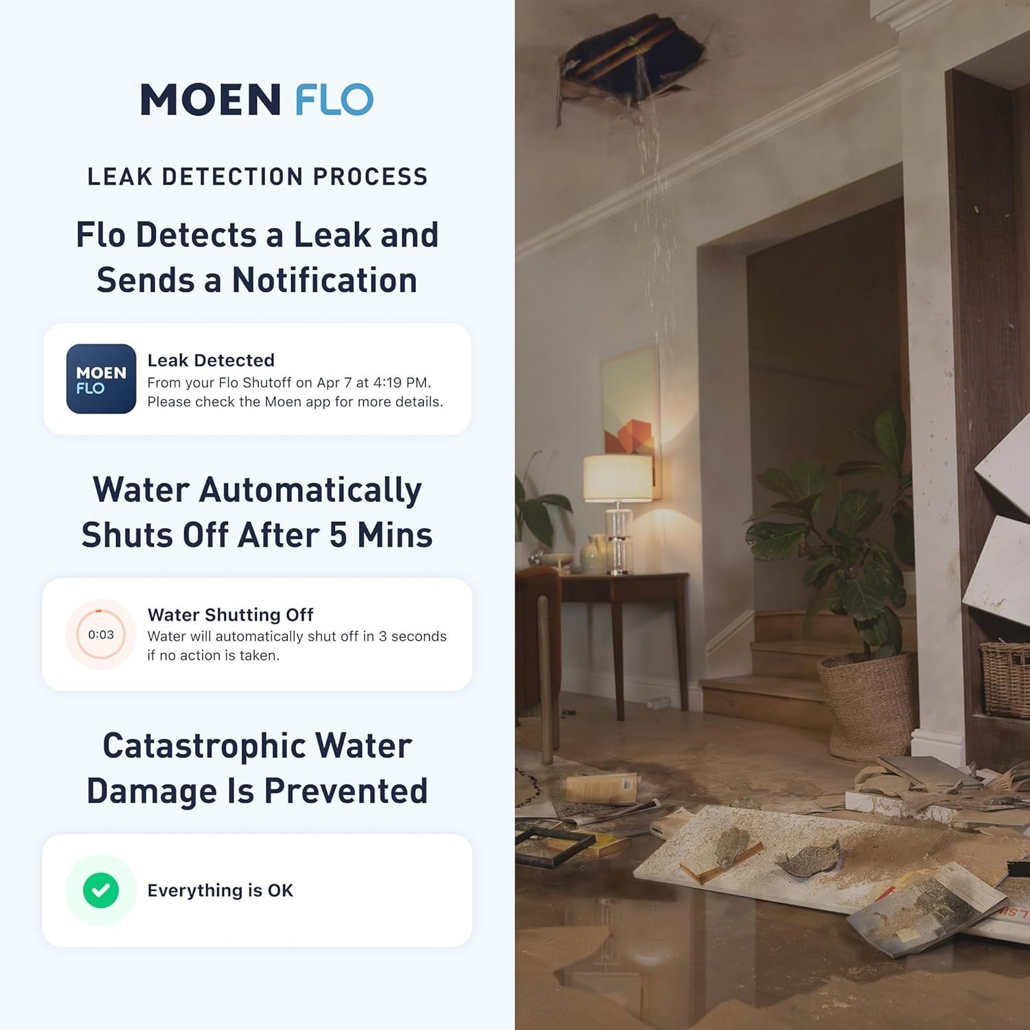 Moen Flo review amazon image 3