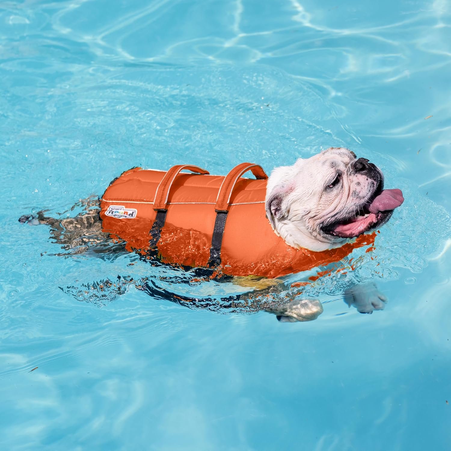 Outward Hound Granby Splash dog life jacket - floating in water action shot