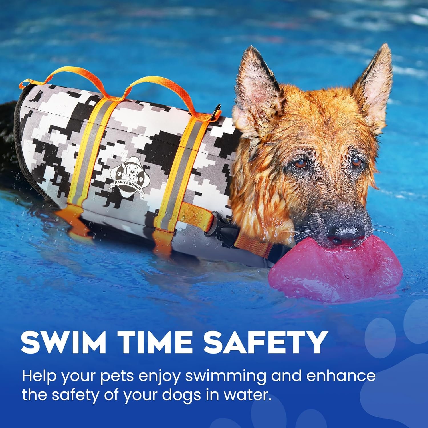 Paws Aboard Dog Life Jacket Review (2026): Best for Large Dogs 5 Paws Aboard Dog Life Jacket - close-up of buckle and chest strap detail