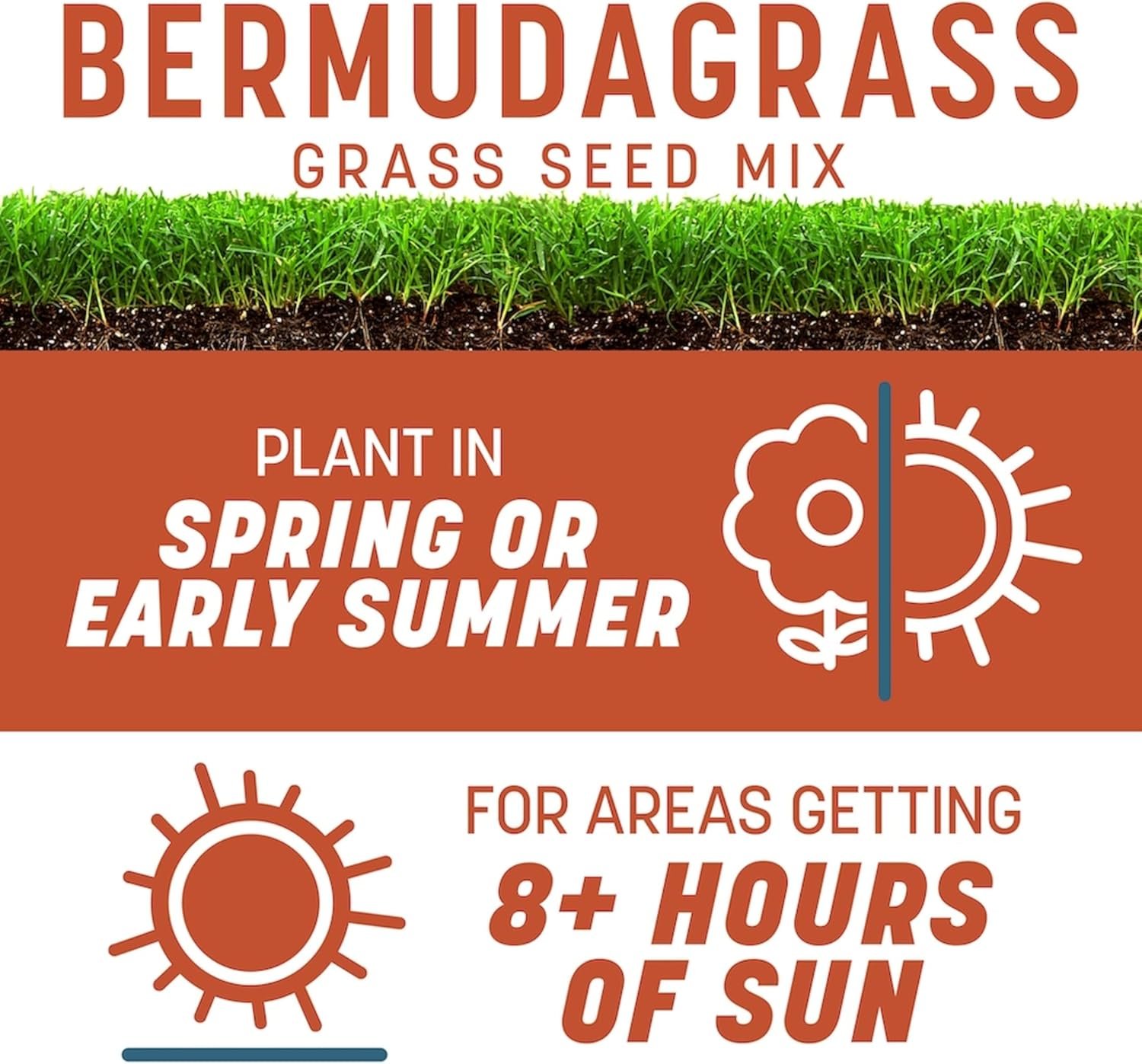 Pennington Smart Seed Bermudagrass mix drought-tolerant warm-season lawn - back of bag (label and coverage details)