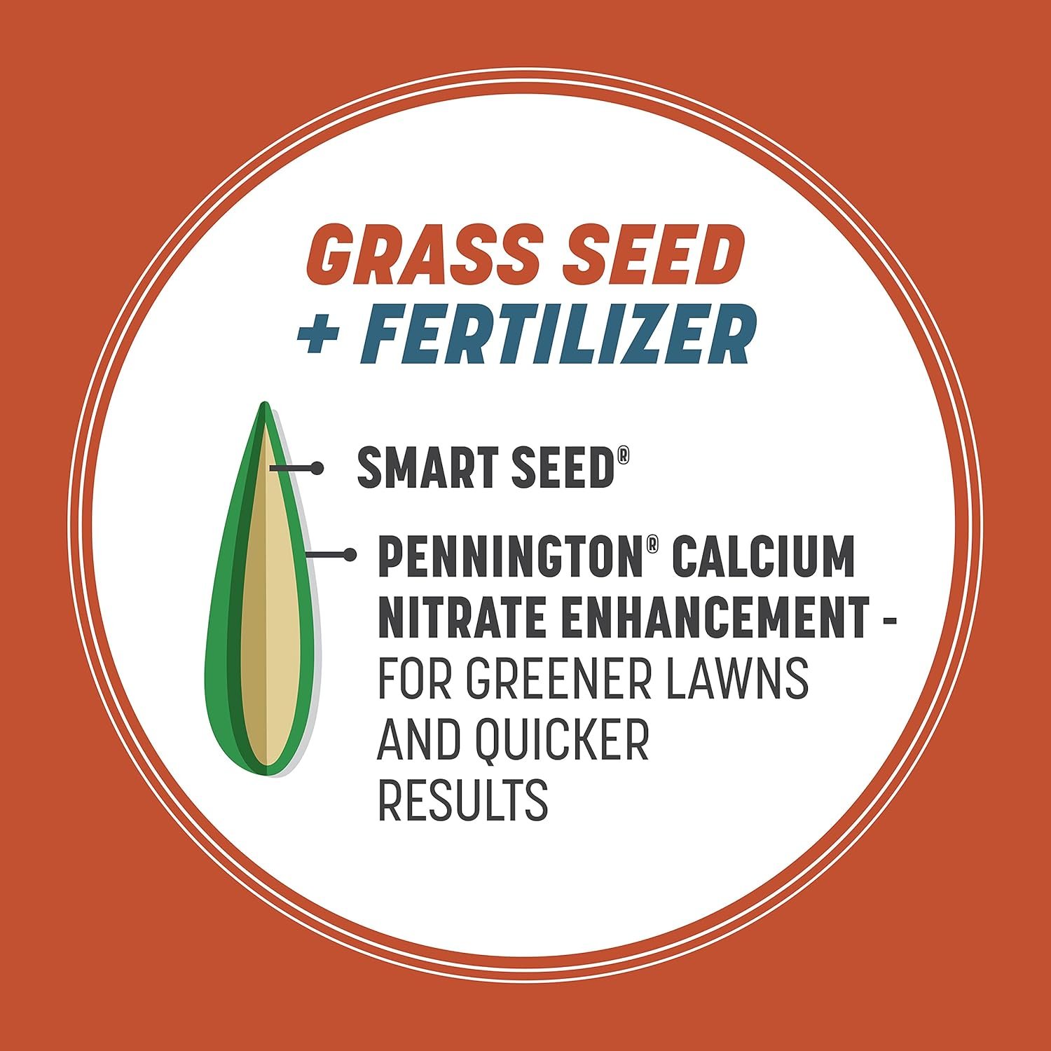 Pennington Smart Seed Bermudagrass mix drought-tolerant warm-season lawn - drought-tolerant grass closeup (turf detail)
