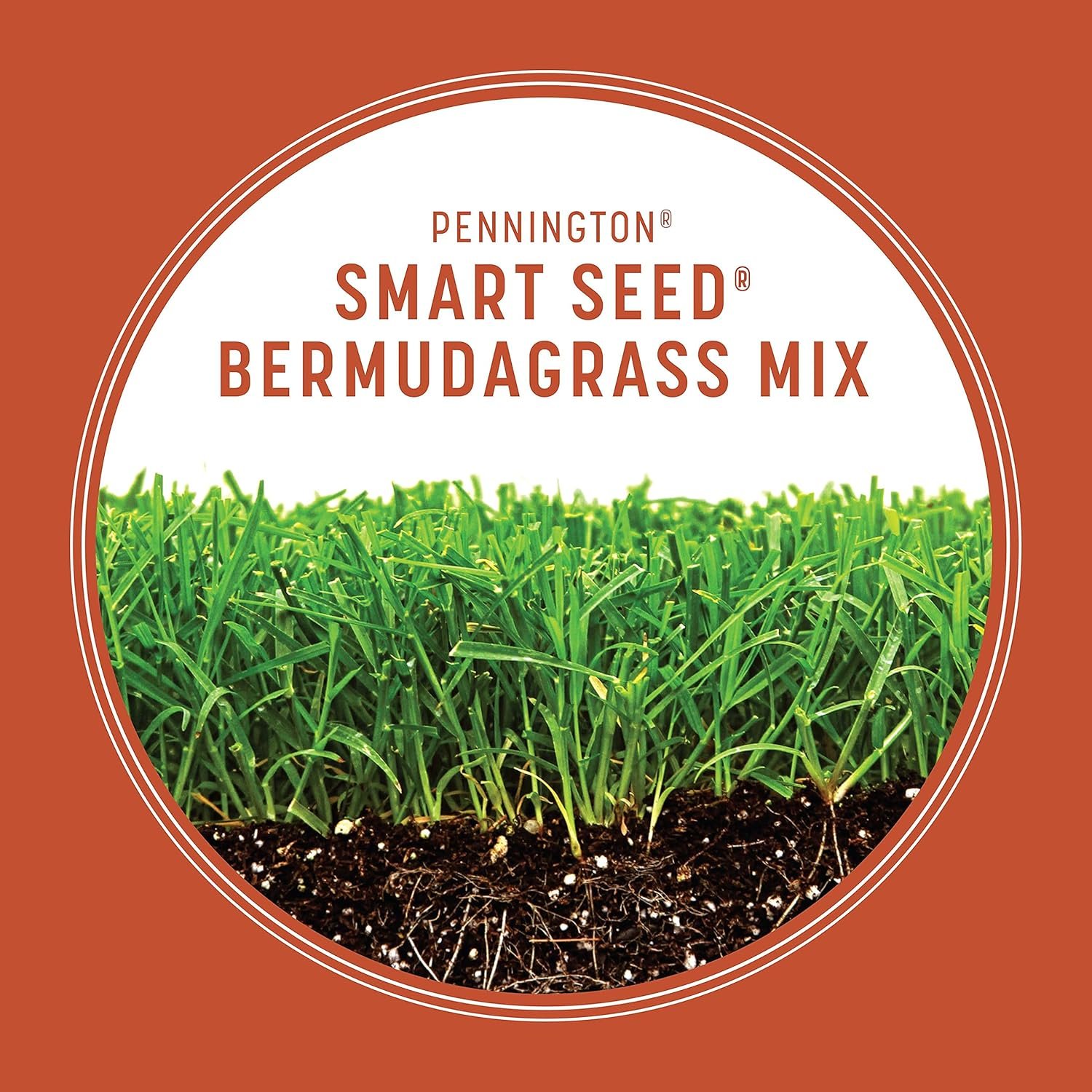 Pennington Smart Seed Bermudagrass mix drought-tolerant warm-season lawn - established lawn lifestyle scene