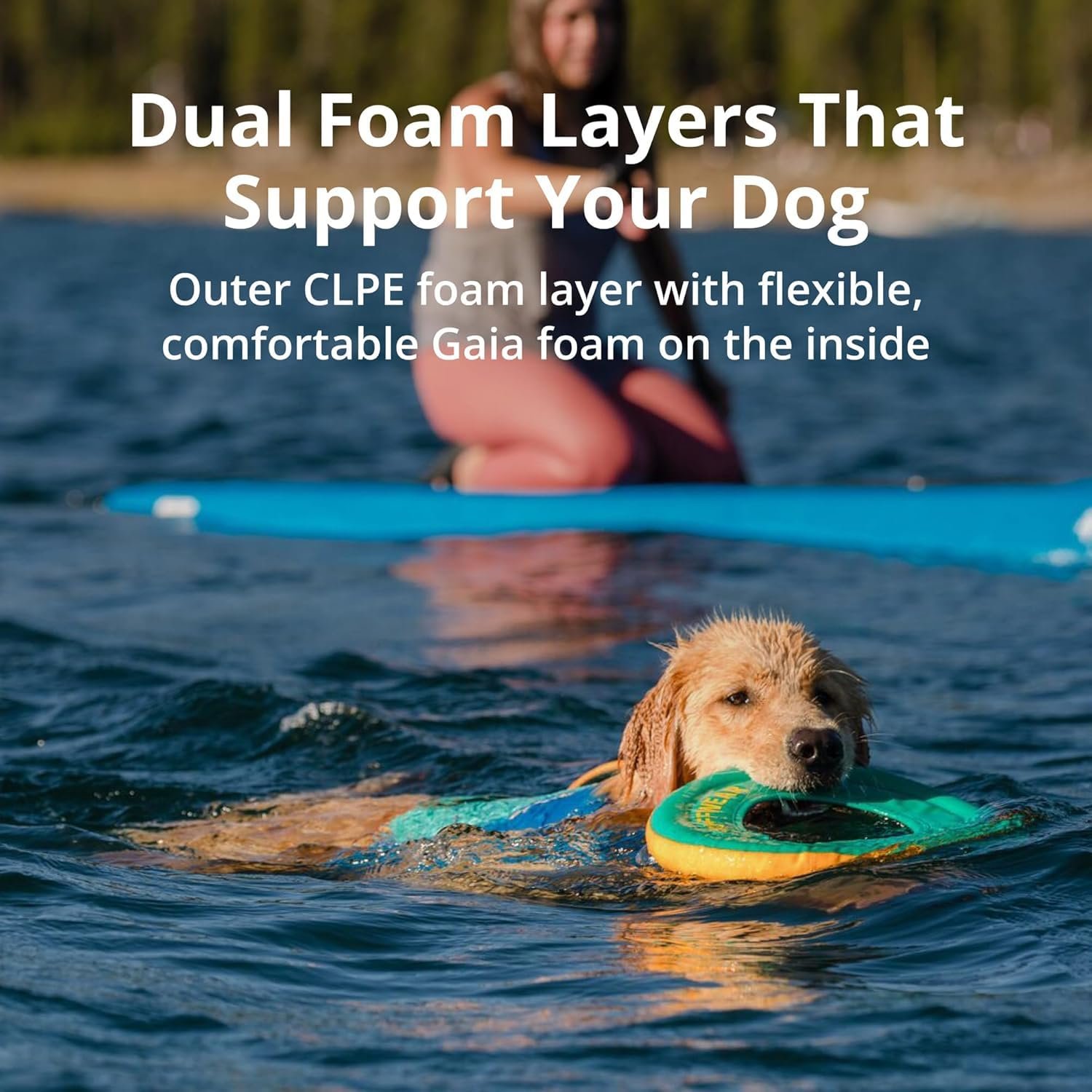 Ruffwear Float Coat Review (2026): Best Dog Life Jacket Tested 4 Ruffwear Float Coat - back view showing reinforced rescue handle and dorsal strap positioning
