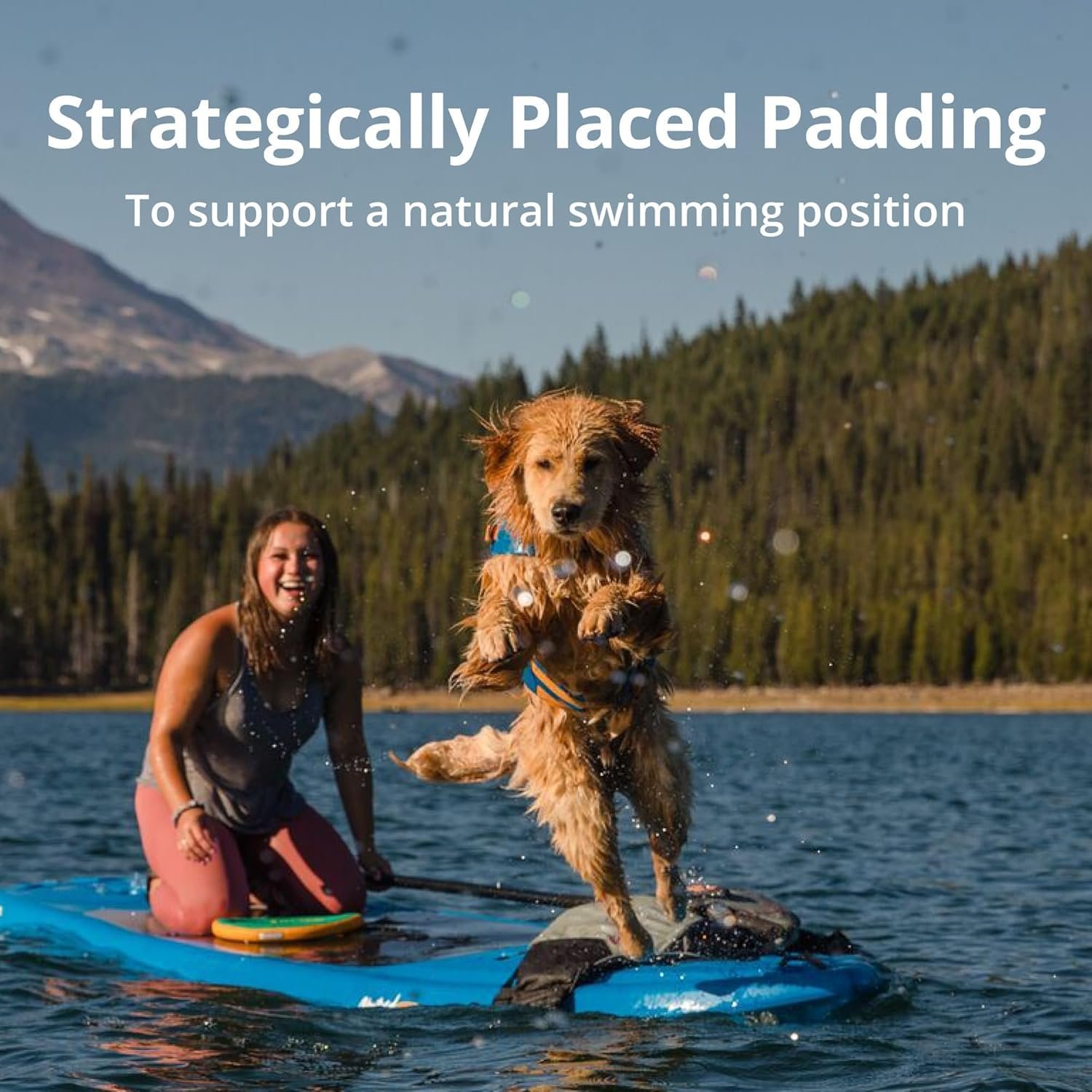 Ruffwear Float Coat Review (2026): Best Dog Life Jacket Tested 5 Ruffwear Float Coat - buckle detail showing quick-release closure mechanism