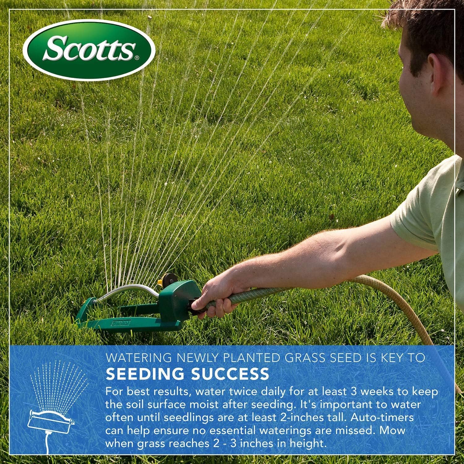 Scotts Turf Builder Zoysia grass seed and mulch drought-tolerant warm-season lawn - drought-tolerant grass closeup (turf detail)