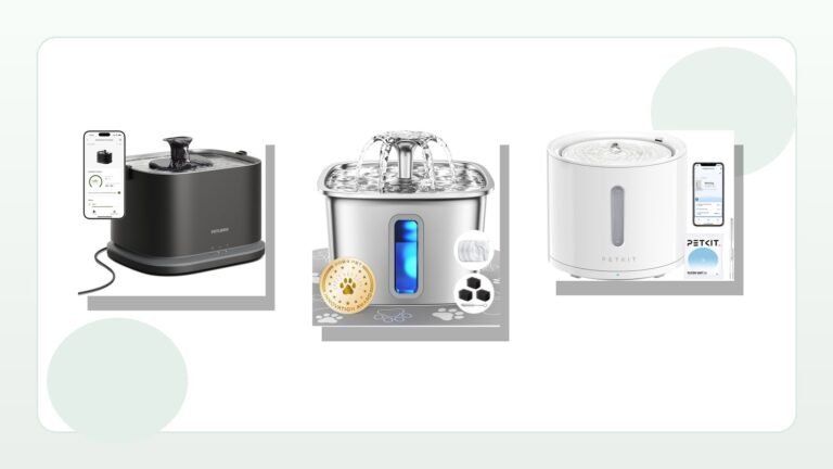 Best cat water fountain 2026 comparison with real product photos