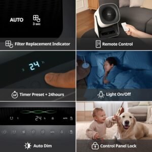 COWAY 2-in-1 Air Purifier with Fan review 2026 best 2-in-1 air purifier with cooling fan