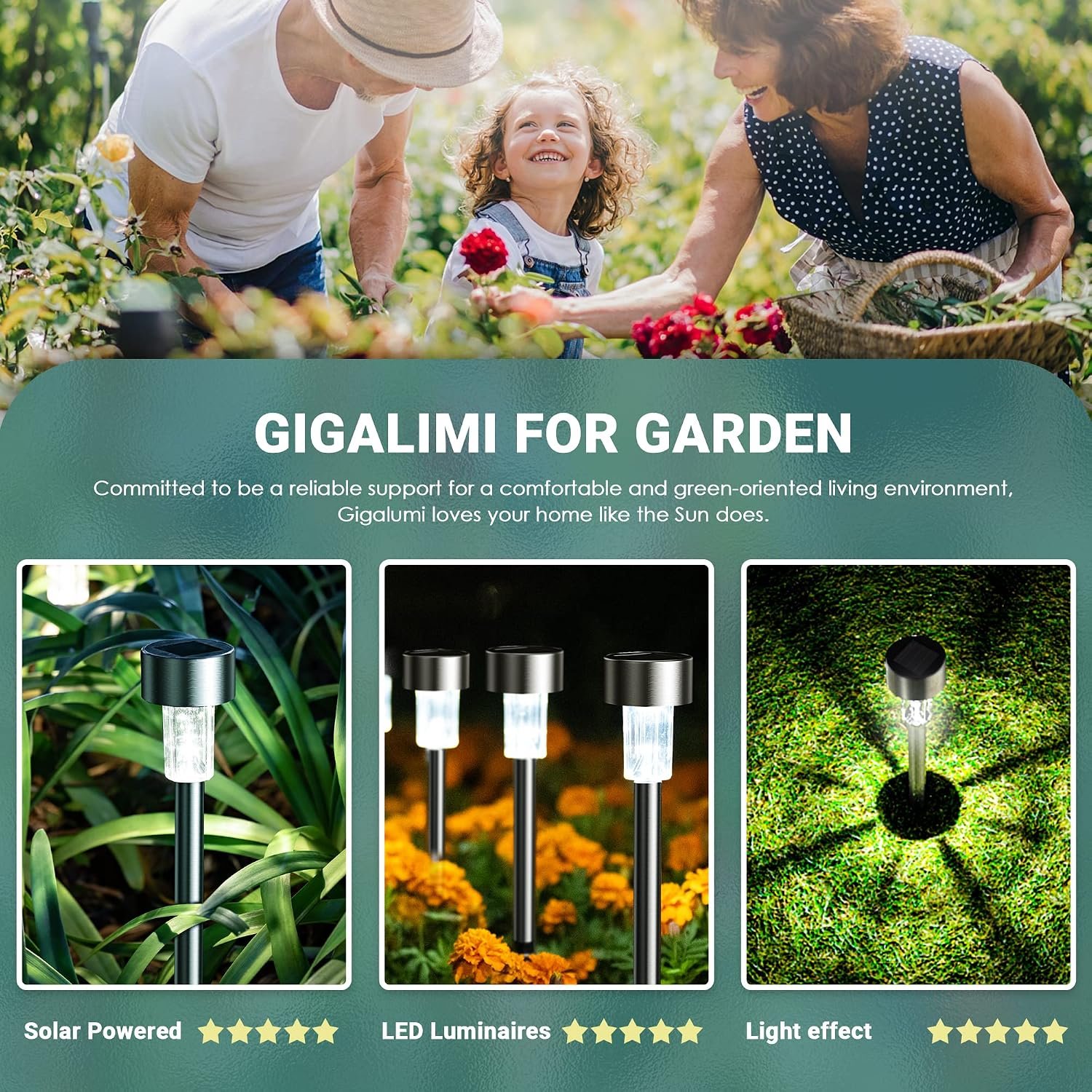 GIGALUMI 16 Pack Solar Lights solar pathway lights gallery image 2