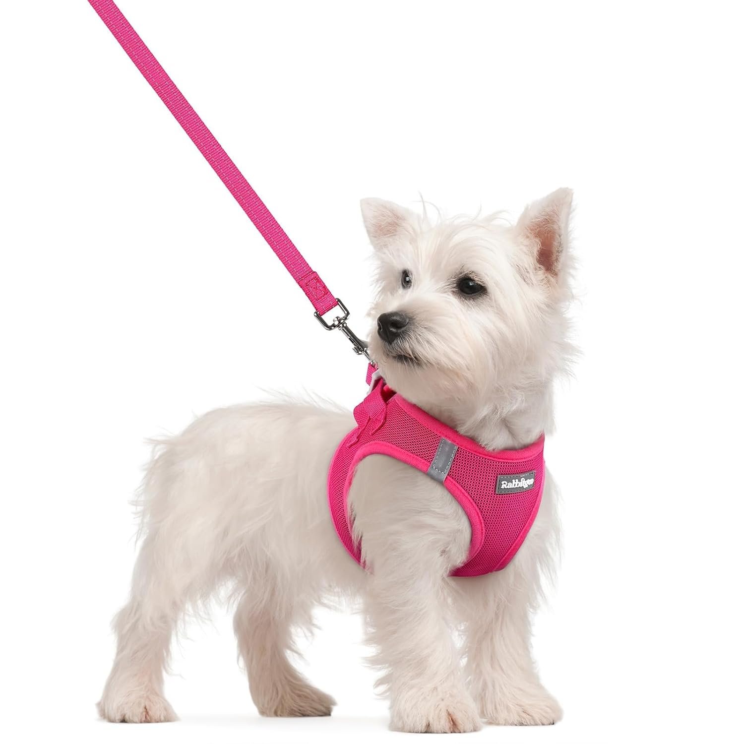 rabbitgoo escape proof dog harness front view