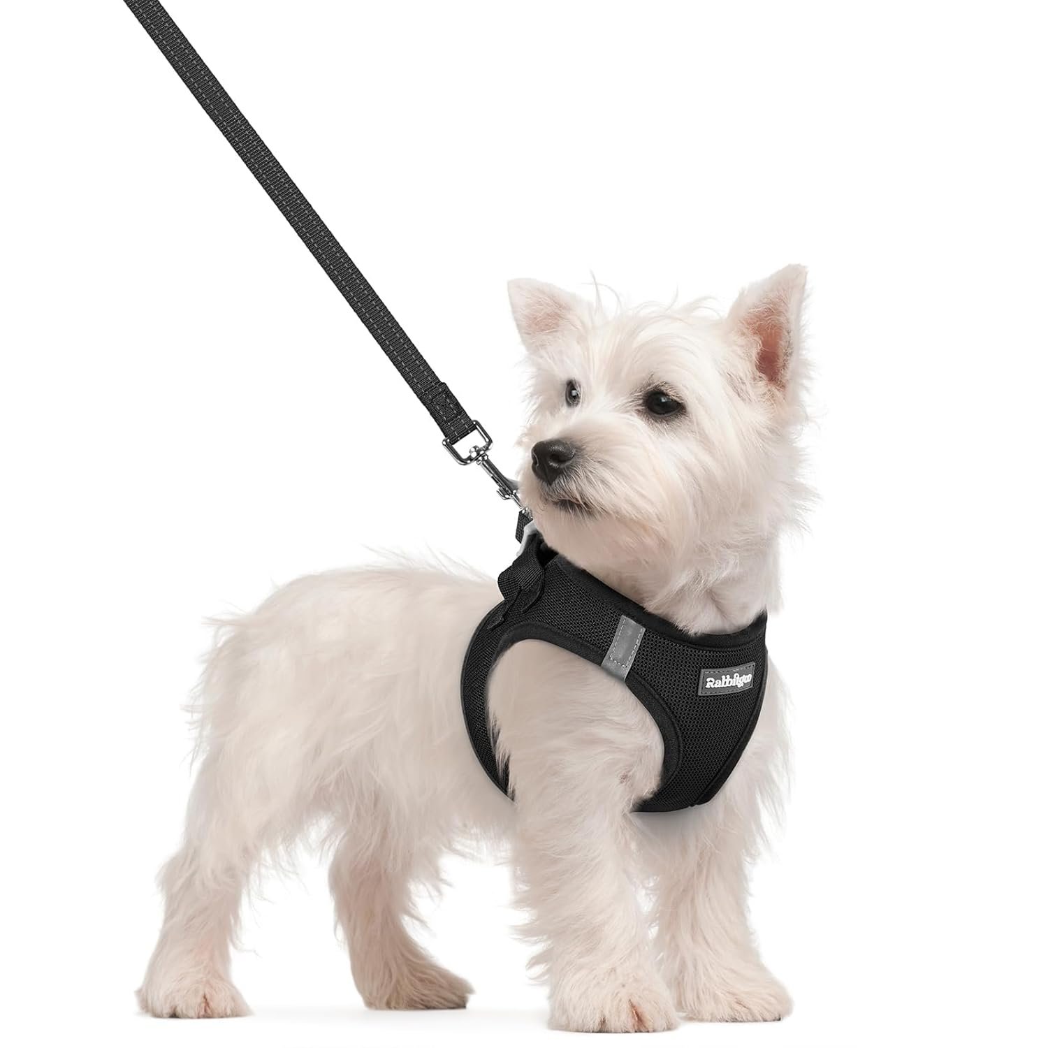 rabbitgoo escape proof dog harness side fit detail
