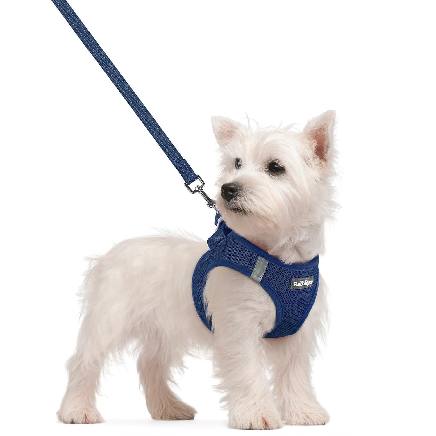 rabbitgoo escape proof dog harness harness straps and buckles