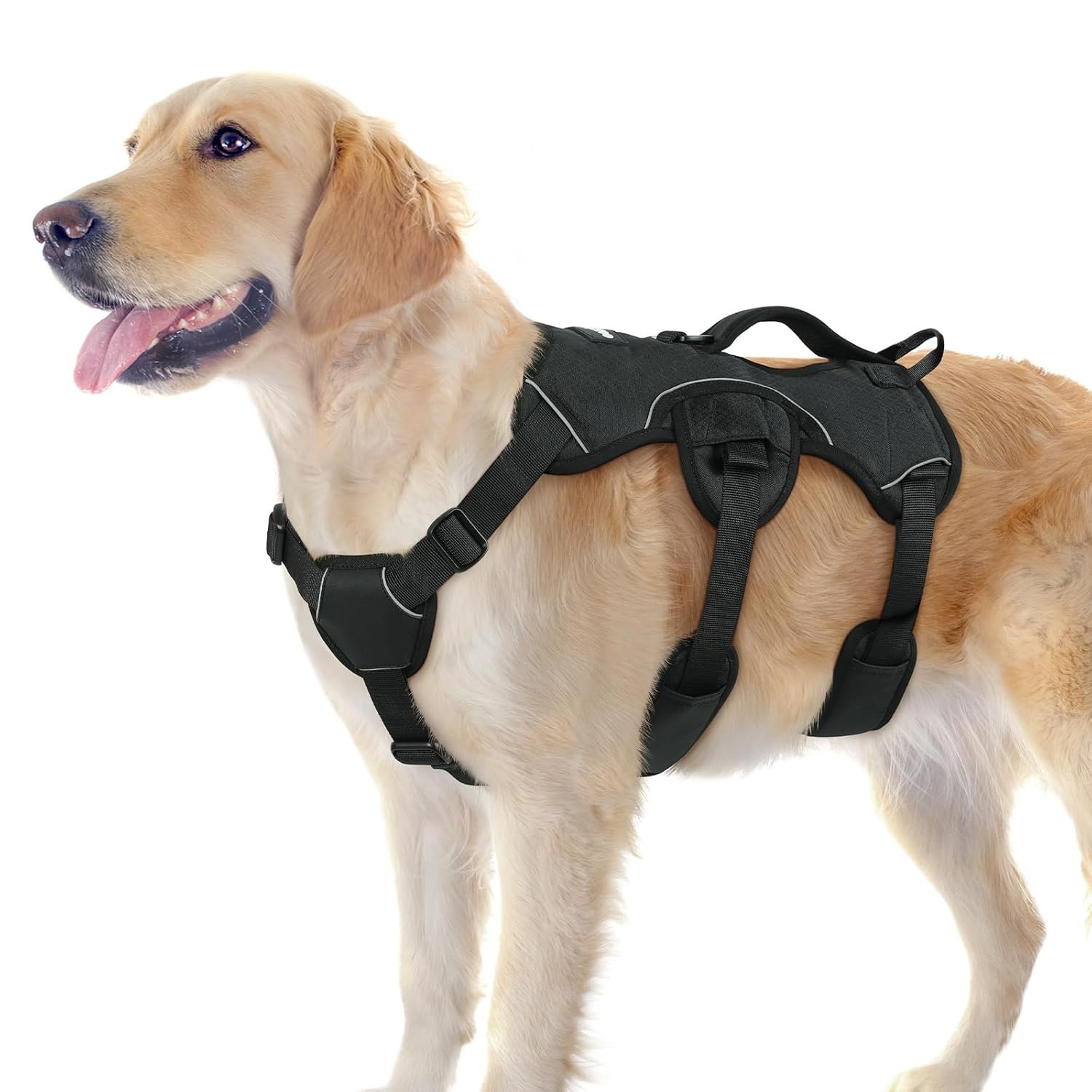 rabbitgoo escape proof dog harness back handle detail