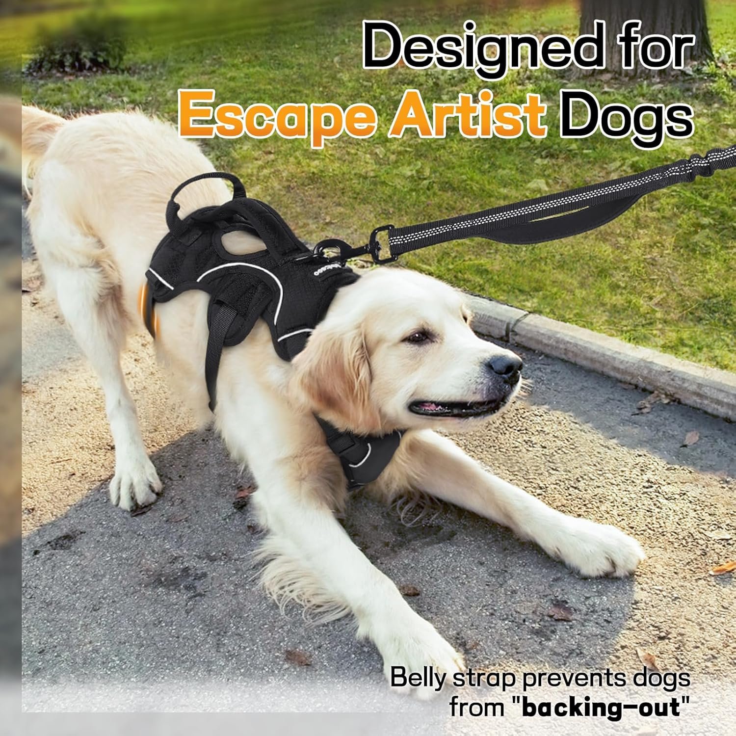 rabbitgoo escape proof dog harness size and color options