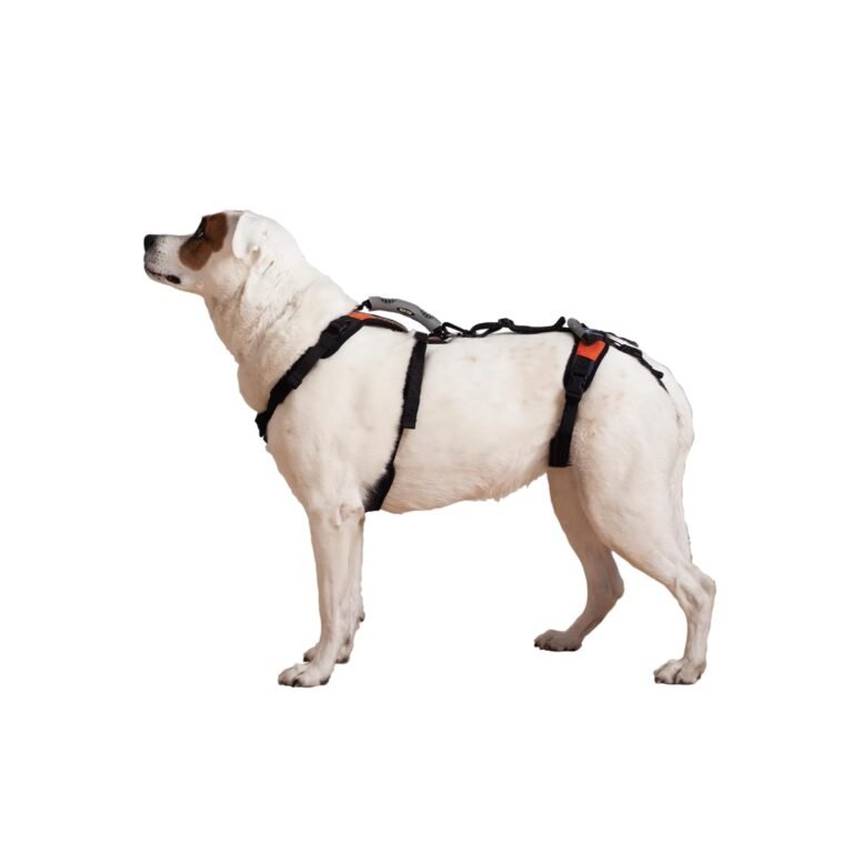 RUFFWEAR Web Master dog harness front view