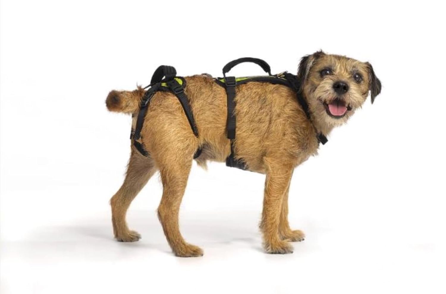 RUFFWEAR Web Master dog harness side fit detail
