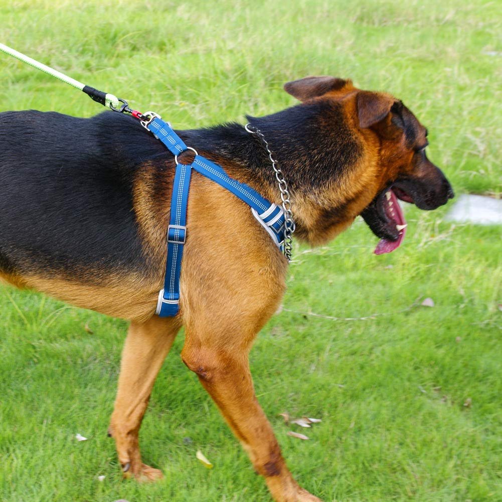 ThinkPet escape proof step-in dog harness back handle detail