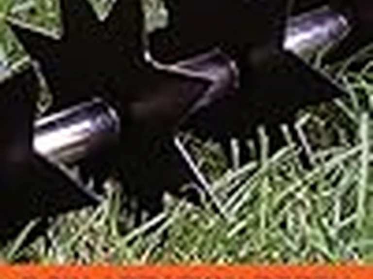 Agri-Fab 45-0365 16-Inch Push Spike Aerator product image 6