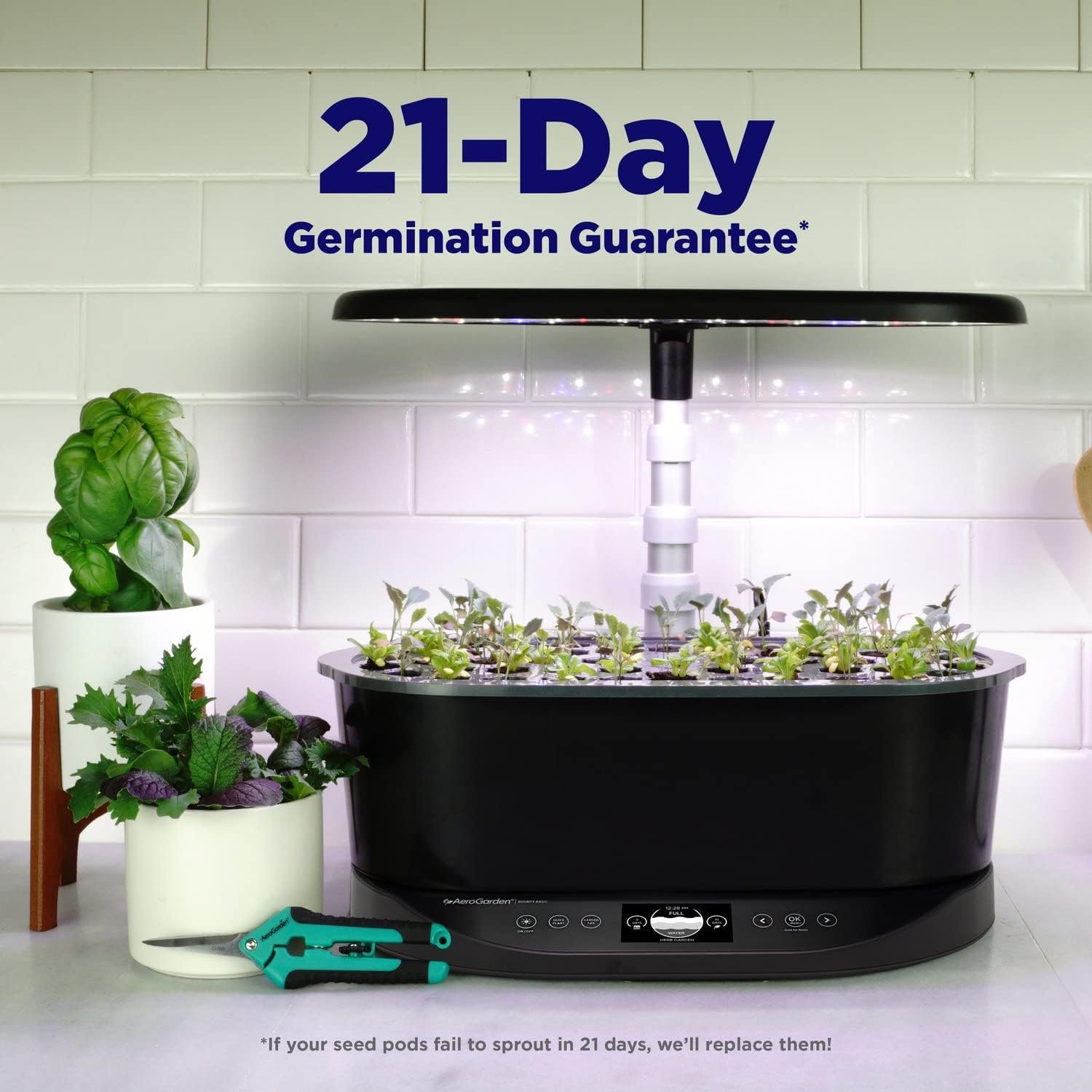 AeroGarden Bounty Basic Indoor Garden with LED Grow Light product image 4