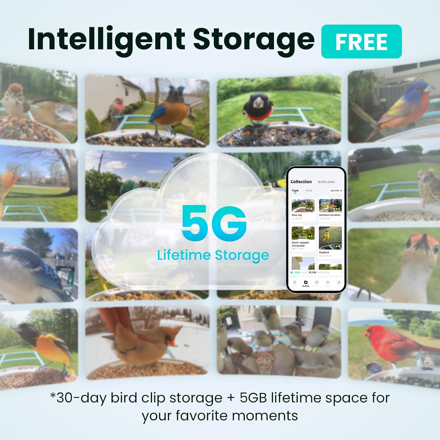 NETVUE by Birdfy Smart Bird Feeder with 2K HD AI Camera product image 4