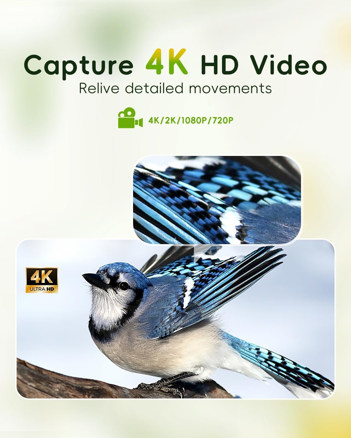 Camojojo HiBird 4K HD Smart Bird Feeder product image 3