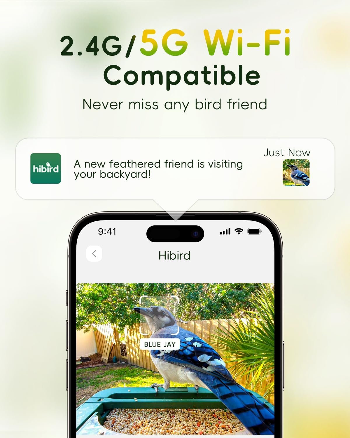 Camojojo HiBird 4K HD Smart Bird Feeder product image 4