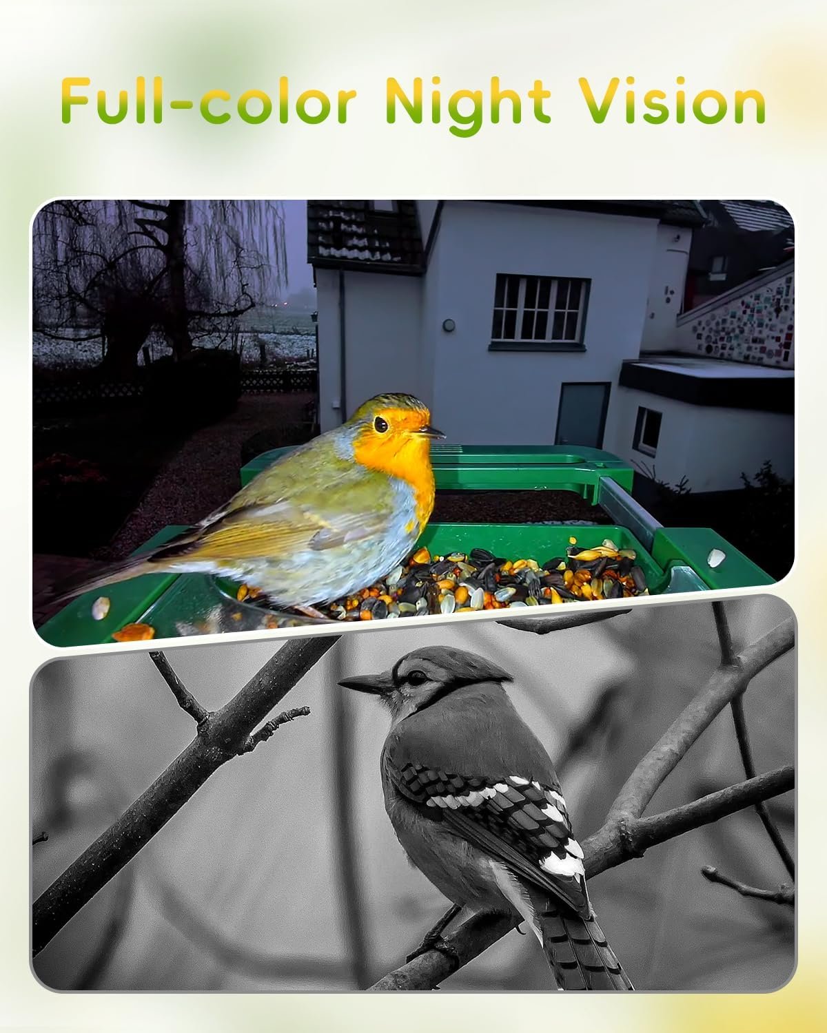 Camojojo HiBird 4K HD Smart Bird Feeder product image 6