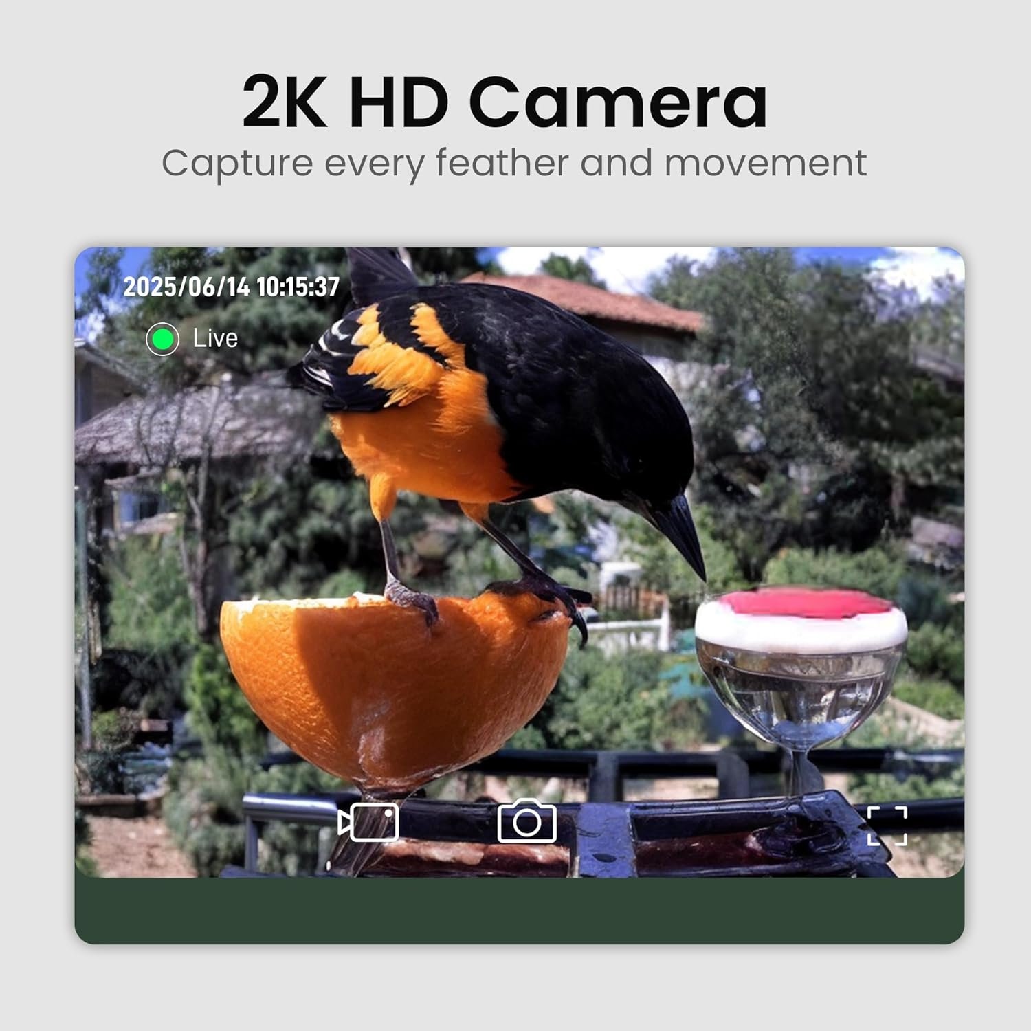 HEAPETS Q02 Smart Bird Feeder with 2K Camera product image 3