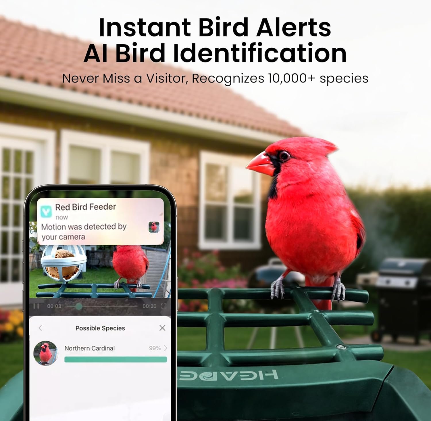 HEAPETS Q02 Smart Bird Feeder with 2K Camera product image 4