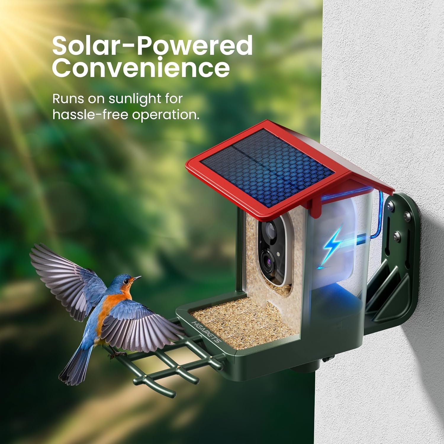 HEAPETS Q02 Smart Bird Feeder with 2K Camera product image 5