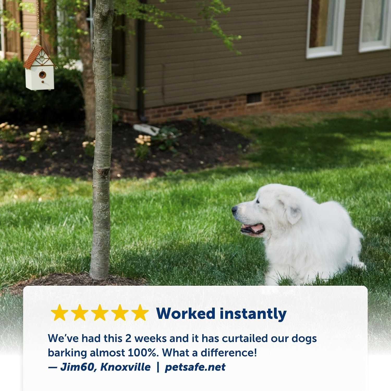 PetSafe Outdoor Bark Control PBC00-11216 - charging or battery detail