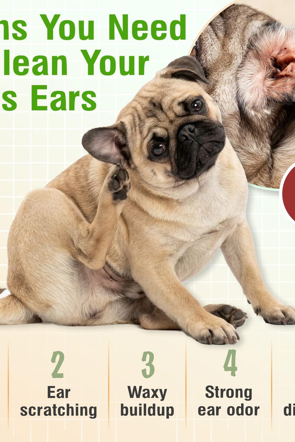 VetWELL Ear Cleaner Dogs and Cats - Cucumber Melon - 8 oz packaging and contents - VetWELL Ear Cleaner Dogs and Cats - Cucumber Melon - 8 oz