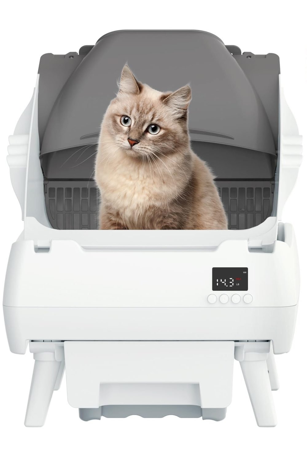 Automatic Cat Litter Box Self Cleaning - App Control, Open-Design, Smart Health Monitor, Suitable Medium Cats and Kittens, Anti-Pinch Safety, Quiet Operation - White main product view - Automatic Cat Litter Box Self Cleaning - App Control, Open-Design, Smart Health Monitor, Suitable Medium Cats and Kittens, Anti-Pinch Safety, Quiet Operation - White