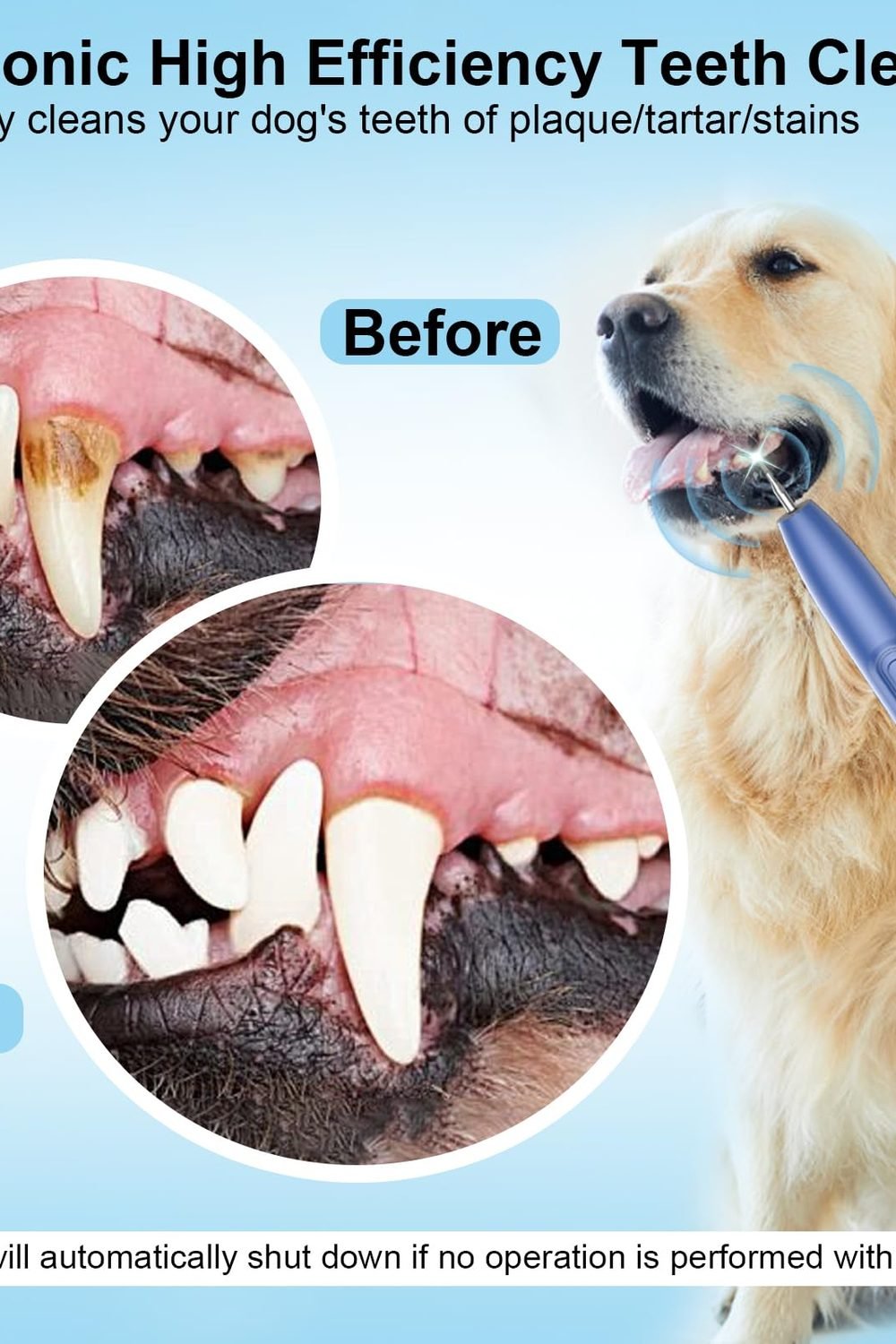 Ultrasonic Dog Plaque Remover Tool, 3 Modes Plaque and Tartar Remover Dogs, Low Noise Sonic Dog Tartar Remover Dogs Plaque Remover with Toothbrush 2 Cleaning Head Pet Dental Care accessories and refills - Ultrasonic Dog Plaque Remover Tool, 3 Modes Plaque and Tartar Remover Dogs, Low Noise Sonic Dog Tartar Remover Dogs Plaque Remover with Toothbrush 2 Cleaning Head Pet Dental Care