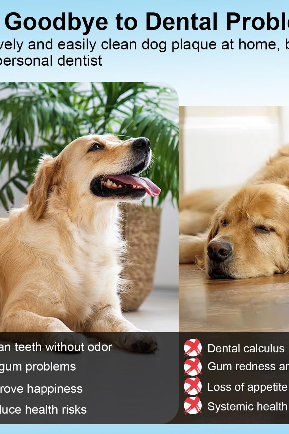 Ultrasonic Dog Plaque Remover Tool, 3 Modes Plaque and Tartar Remover Dogs, Low Noise Sonic Dog Tartar Remover Dogs Plaque Remover with Toothbrush 2 Cleaning Head Pet Dental Care in use at home - Ultrasonic Dog Plaque Remover Tool, 3 Modes Plaque and Tartar Remover Dogs, Low Noise Sonic Dog Tartar Remover Dogs Plaque Remover with Toothbrush 2 Cleaning Head Pet Dental Care