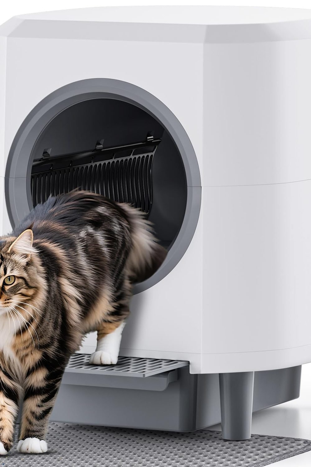 Automatic Litter Box, Self Cleaning Litter Box, Odor Control, 90L Capacity main product view - Automatic Litter Box, Self Cleaning Litter Box, Odor Control, 90L Capacity