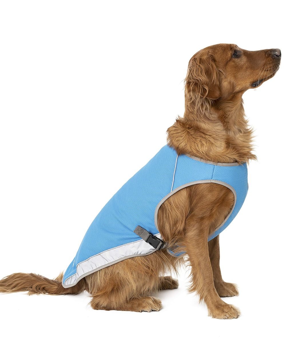 Canada Pooch Chill Seeker Cooling Vest Review 6 Canada Pooch Chill Seeker Cooling Vest gallery view 6