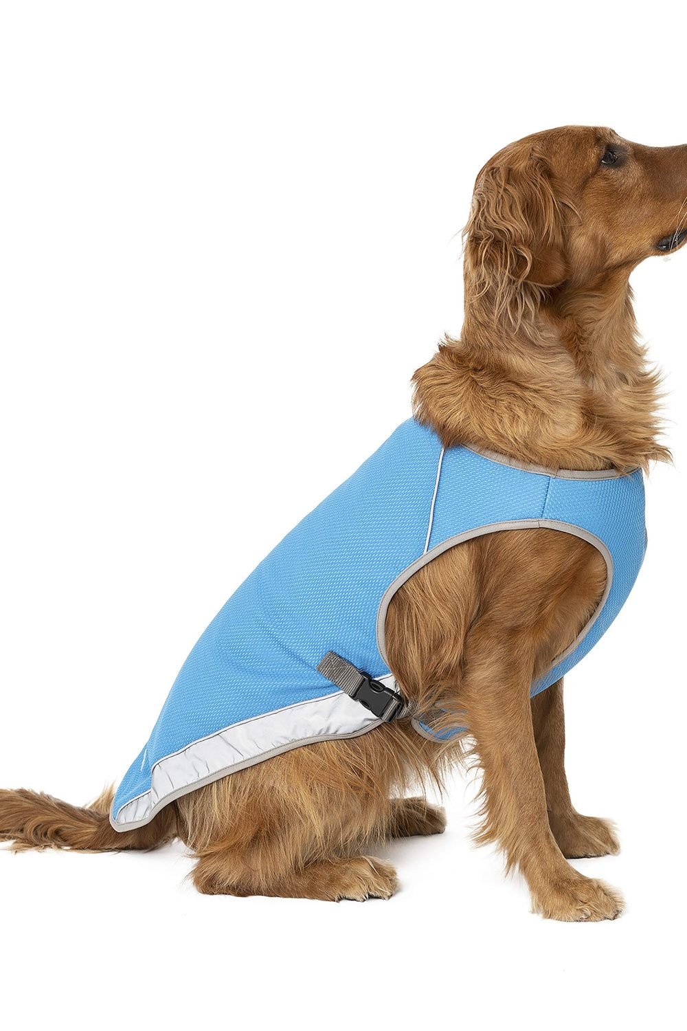 Canada Pooch Chill Seeker Cooling Vest product image