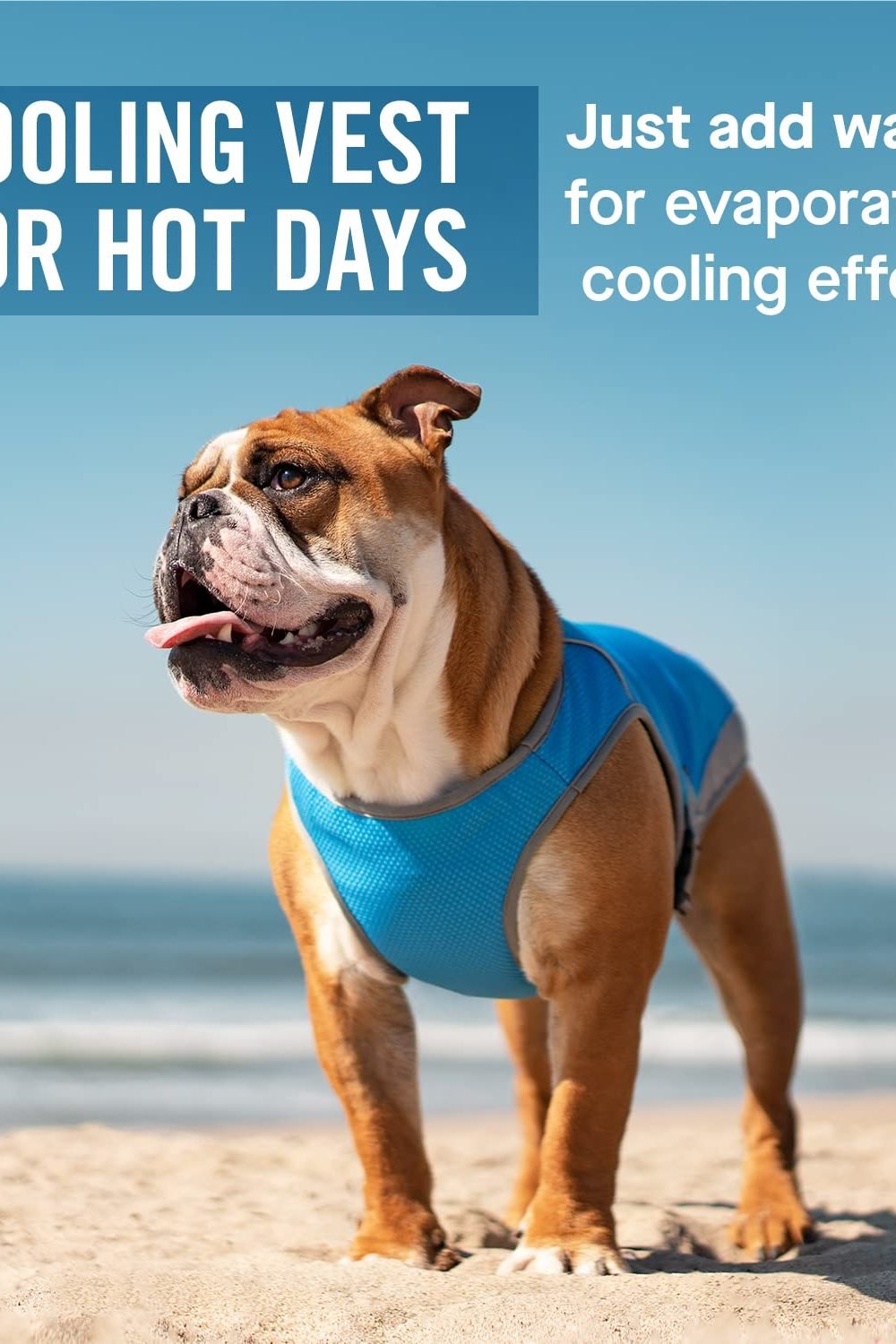 Canada Pooch Chill Seeker Cooling Vest Review 2 Canada Pooch Chill Seeker Cooling Vest gallery view 2