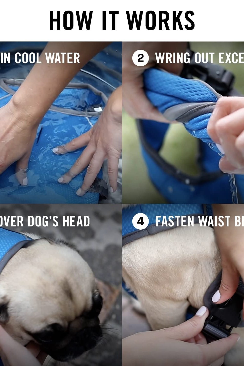 Canada Pooch Chill Seeker Cooling Vest Review 3 Canada Pooch Chill Seeker Cooling Vest gallery view 3
