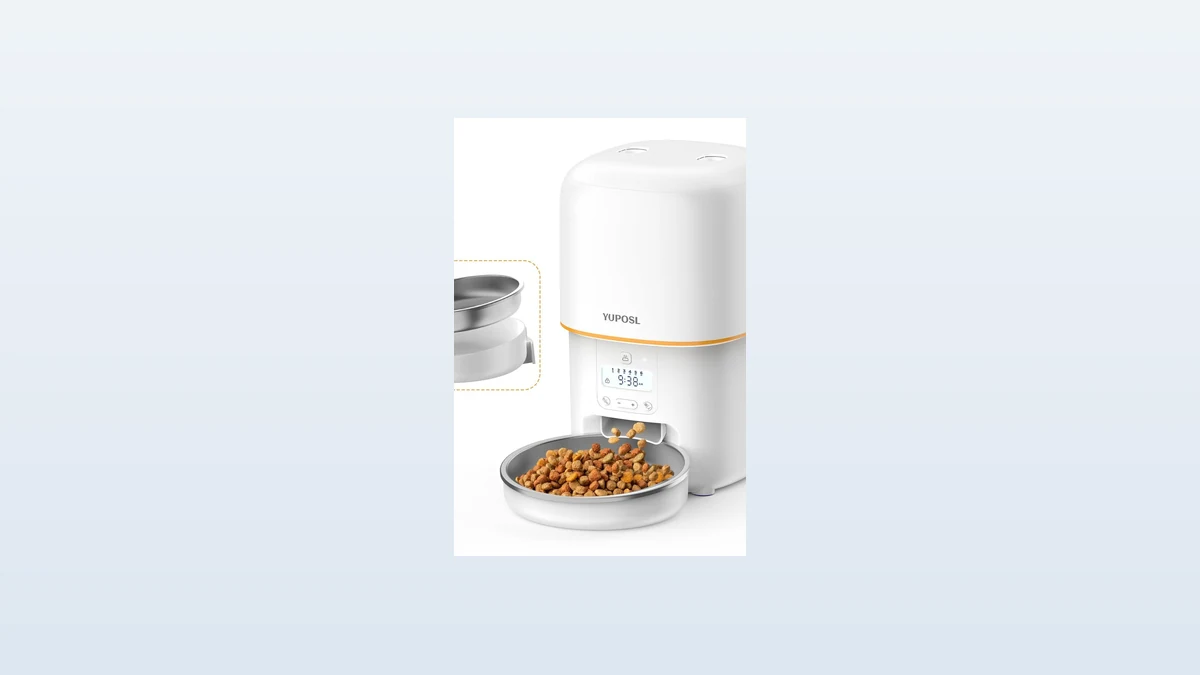 automatic pet feeder buyer context