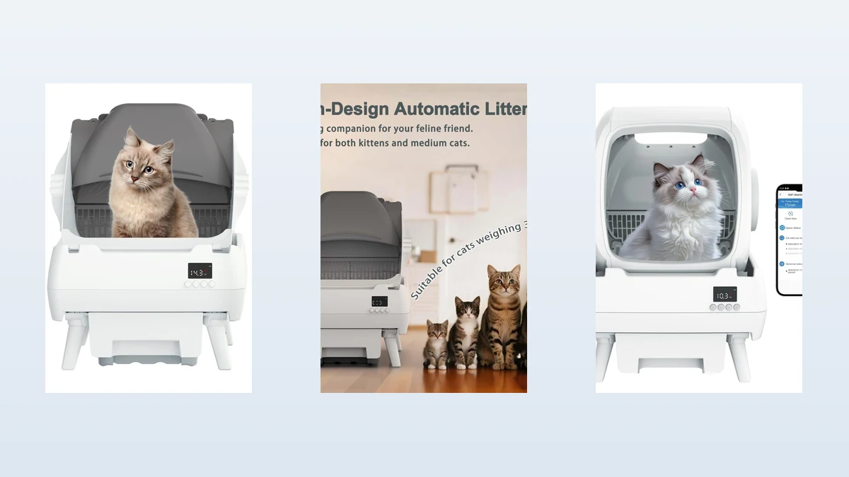 Best Self-Cleaning Litter Box 2026: 3 Product Comparison 5 self-cleaning litter box comparison testing setup