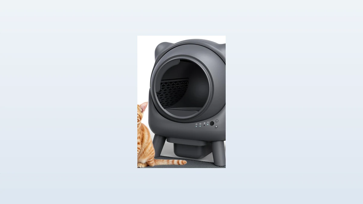 Self Cleaning Cat Litter Box Trend 2026: What US Buyers Need to Know 6 ReviewGuid news_mid editorial image