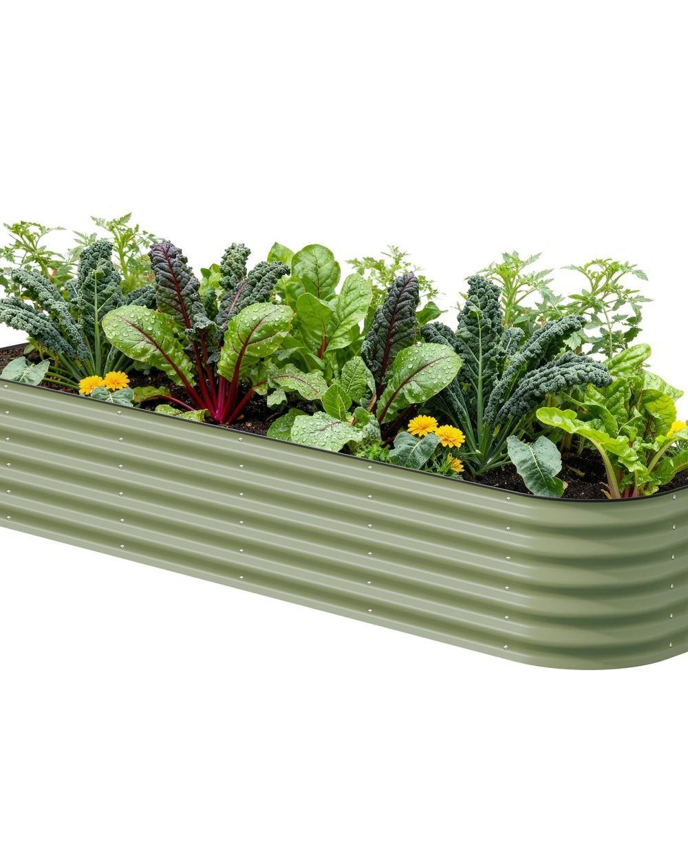 Vego Garden 9-in-1 Raised Bed Review 1 Vego Garden 9-in-1 modular raised bed installed view